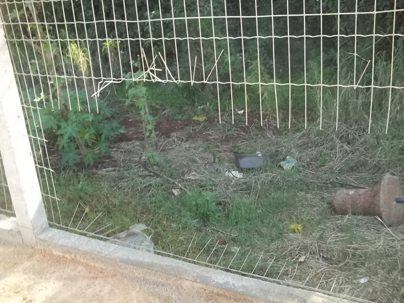 BENS PÚBLICOS ESTÃO SENDO DEPREDADOS